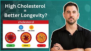 Is Higher Cholesterol Better for Longevity The CholesterolMortality Paradox [upl. by Amorette838]