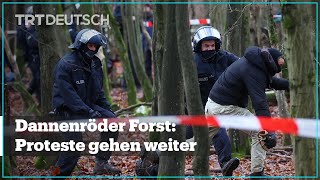 Dannenröder Forst Proteste gehen weiter [upl. by Habeh]