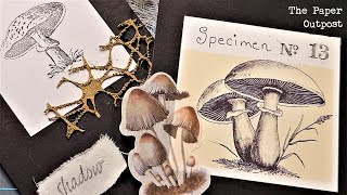 Mushrooms amp Junk Journals WITH SOUND  MUSHROOMS amp AUTUMN Ahhh The Paper Outpost [upl. by Atinrev]