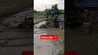 My love tractortractor love ❣️❣️❣️viral video [upl. by Nicolis617]