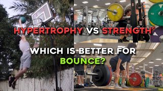 Hypertrophy VS Strength Training For Your Vertical Jump [upl. by Alverta]