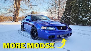 TRANSFORMING The Front End of My SVT Cobra with A Few CHEAP Aftermarket Parts [upl. by Denyse]