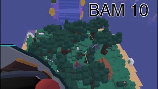 BAM 10 submission [upl. by Goody]