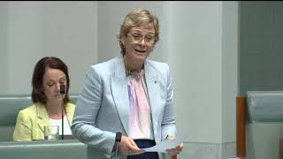 Zali Steggall MP asks Treasurer if Electoral Reform plans are a poor use of public funds [upl. by Silisav778]