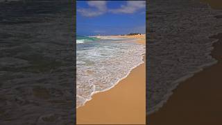 Ocean ⛱️ 🌊 Fuerteventura 🇪🇸 [upl. by Akiwak850]