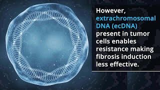 Nanoparticles Clear EcDNA to Boost Tumor Fibrosis and Enhance Cancer Therapy [upl. by Nyltyak]