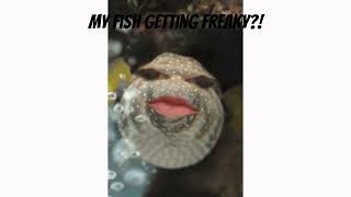 fish memes because I was bored [upl. by Anivas]