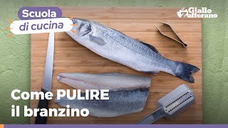 Come pulire il branzino o spigola  Scuola di cucina [upl. by Caesaria34]