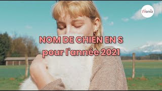 Noms de chien en S  année 2021 [upl. by Ainehta]