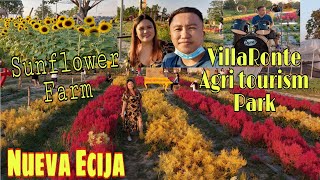 VILLARONTE AGRITOURISM PARK San Antonio Nueva Ecija  SUNFLOWER FARM  Vlog 42 [upl. by Aehsal]