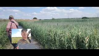 A recent visit to Rspb Rainham marshes [upl. by Feeley]