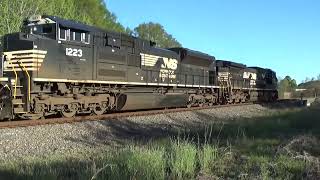 NS 296 Intermodal Dbl Stack Export Cubesbaretables by Spartanburg East 4624 AC44C6M and SD70ACe [upl. by Thgiled]