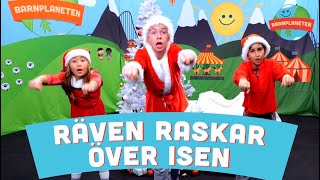 Räven raskar över isen  Julsånger och julmusik med Minikompisarna [upl. by Lliw865]