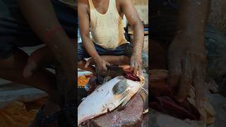 Delicious Giant Grouper Fish Cutting Skills Live In Fish Market  Part1 shorts [upl. by Notlim303]