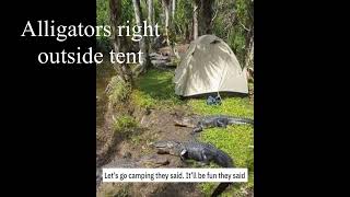 Dangerous Camping with Alligators [upl. by Pozzy]