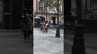 Danzantes mayas en la Plaza del Zócalo CDMX [upl. by Nibur]