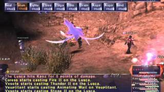 FFXI NM Saga 312 Lusca VNM Full Battle [upl. by Halueb]