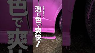 【高圧洗浄機なし！】泡と色で爽快！手洗い洗車スノーメンブラック泡洗車ながら洗車ディテーリング兄弟車好き洗車好きおすすめ乗りたい [upl. by Rolandson]