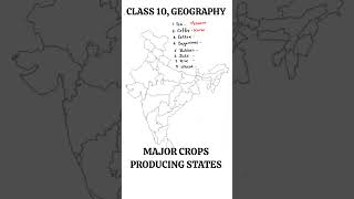 Major Crops Producing States of India  Class 10 Geography Map [upl. by Nnilsia]