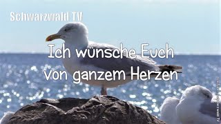 🎩🍀 Frohes neues Jahr 🥂🍾 Guten Rutsch 🏝️ Neujahrswünsche 🍾 Happy New Year Silvester Grußvideo [upl. by Carol461]