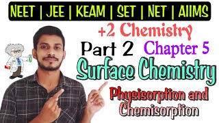 Surface Chemistry  Difference Between Physisorption and Chemisorption [upl. by Amzaj]