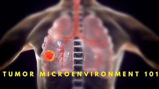 Tumor Microenvironment 101 [upl. by Aihsatan693]