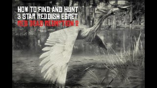 Red Dead Redemption 2 Perfect Reddish Egret Hunting Guide [upl. by Aidroc674]