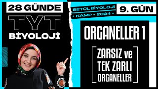 9 Organeller 1  9 Sınıf Biyoloji  2024 TYT Biyoloji Kampı 9 Gün [upl. by Becka]