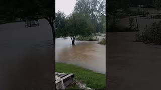 Hendersonville NC  FLOODS HELENE [upl. by Arrad]