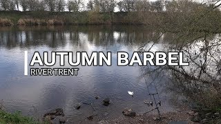 AUTUMN BARBEL FISHING RIVER TRENT  VIDEO 63 [upl. by Nhguavoj]