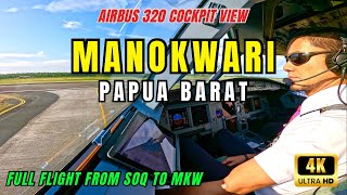 COCKPIT VIEW AIRBUS 320  BOUND FOR MANOKWARI PAPUA BARAT  Jalan  jalan ke timur Indonesia [upl. by Htial]