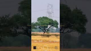 Kuldeep official Vivo v30 viralvideo YouTube [upl. by Wat]