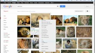 How to Copy and Paste Pictures from Google [upl. by Lubbock]