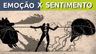 QUAL A DIFERENÇA ENTRE EMOÇÃO E SENTIMENTO  RODRIGO FONSECA [upl. by Trev526]