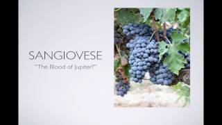 Winecast Sangiovese [upl. by Ojyllek325]