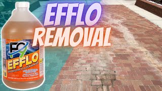 Using F9 To Remove Efflorescence￼ and Rust [upl. by Nagn]