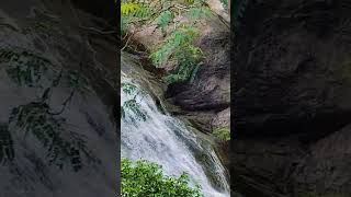 nature  waterfall  shorts  chithra win oor Sutralam vanga [upl. by Ayamat]