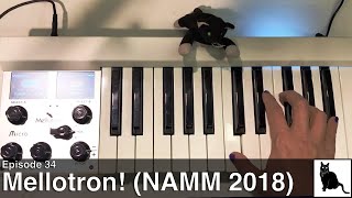 NAMM 2018 Mellotron [upl. by Materi]