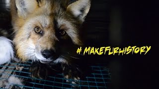 Exposing the Fur Industry [upl. by Leroj]