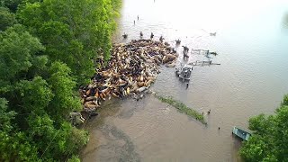 Evacuations Continue in Brazoria County Holiday Lakes neighborhood [upl. by Brana240]