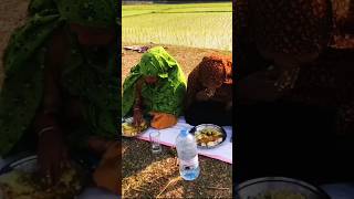 Aam jonotar hotel Food4all youtubeshorts viralvideo foryou [upl. by Bernat]