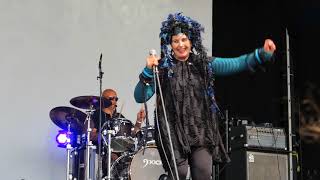 Lene Lovich  Lucky Number Live  WFestival 2017 [upl. by Adnalue]