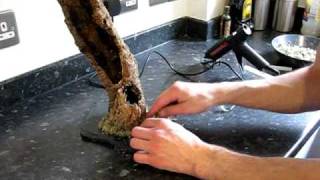 Setting up an arboreal tarantula terrarium PART 1 [upl. by Heigho]