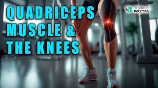 Quadriceps Muscle amp The Knees 💪🦵🦵 [upl. by Lela]