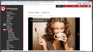 Enhance Your Website Easily with the ASPNET Image Slider [upl. by Llewop]