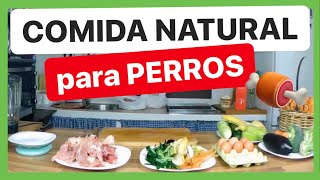 COMIDA para PERROS 🍖 FÁCIL NATURAL y ECONÓMICA ✅ ► DIETA BARF [upl. by Fabiolas]