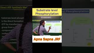 Substrate level Phosphorylation [upl. by Jerz]