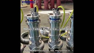 Tobee® Stainless Steel Submersible Dewatering Pump for Water Purification Plants [upl. by Carney]