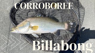 The Iconic Corroboree Billabong [upl. by Akcirred]