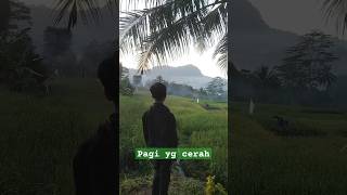 Pagi yang cerah dipedesaan alam [upl. by Yesnikcm714]